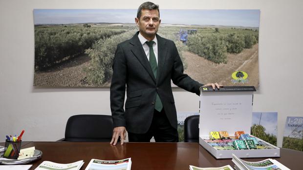 Alfonso Gómez, consejero delegado de Todolivo: «Córdoba no ha tocado techo en la superficie de olivar»