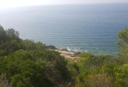 Vista de los acantilados de Barbate desde la Torre del Tajo