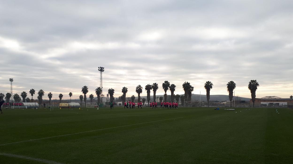 Imagen del entrenamiento de este lunes en la Ciudad Deportiva Rafael Gómez