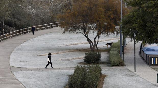 Tercer día consecutivo con temperaturas bajo cero en Córdoba y helada por la mañana