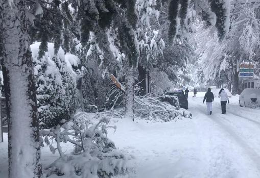 Imagen tomada por una familia cordobesa en San Chinarro