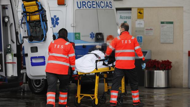 Córdoba repite su jornada más negra: 15 muertes por Covid