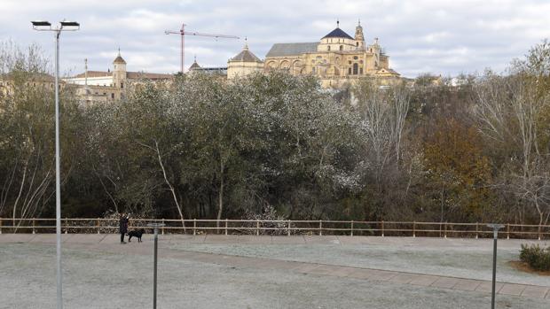 Ola de frío en Córdoba | Aviso amarillo este martes por temperaturas que pueden ser de dos grados bajo cero