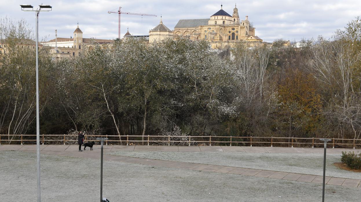 Imagen del entorno de la Calahorra helado el 4 de enero del presente año