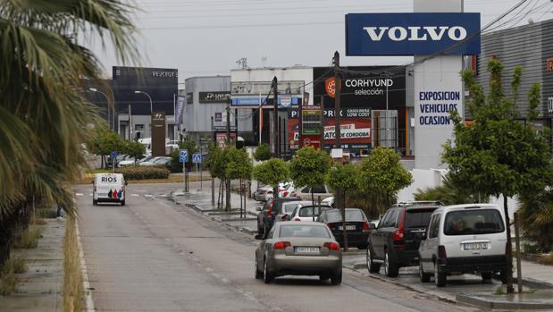 La creación de empresas en Córdoba cae un 9% y el capital suscrito para su nacimiento se hunde un 57%