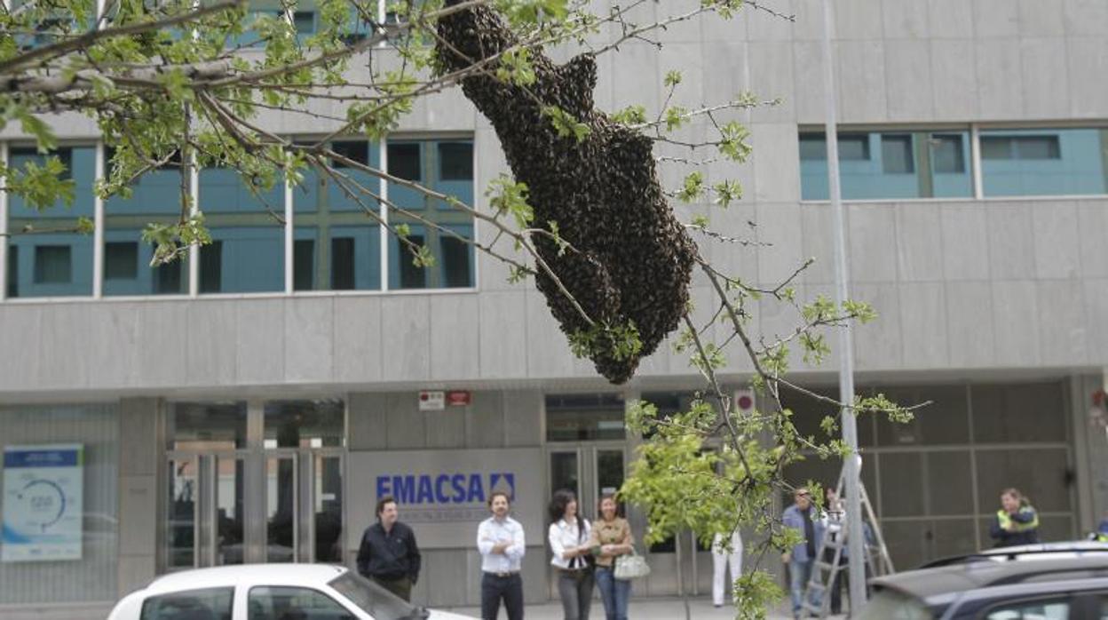 Sede de la empresa de aguas junto al Vial