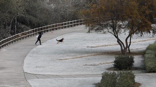 Ola de frío en Córdoba | ¿Cuáles han sido las temperaturas más extremas la madrugada más gélida?