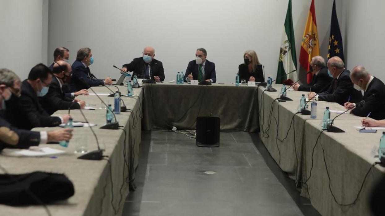 Los presidentes de los Consejos de Andalucía reunidos con la Junta de Andalucía / RAÚL DOBLADO