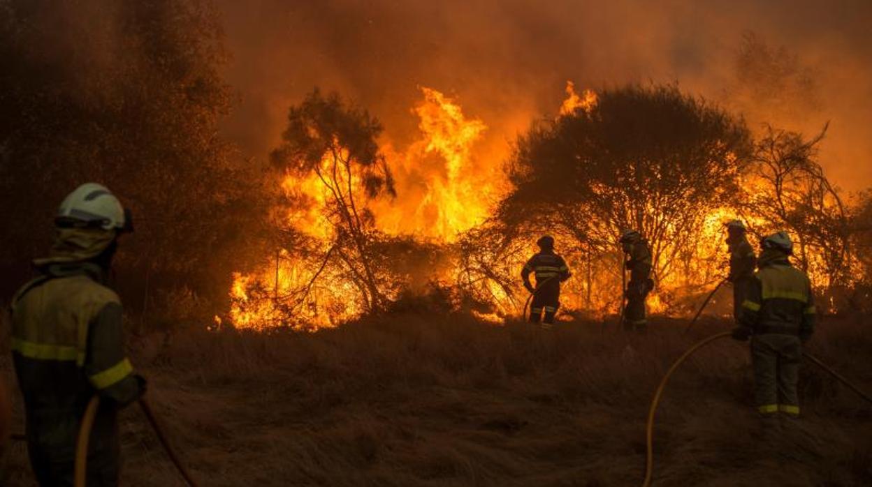 Bomberos, durante un incendio