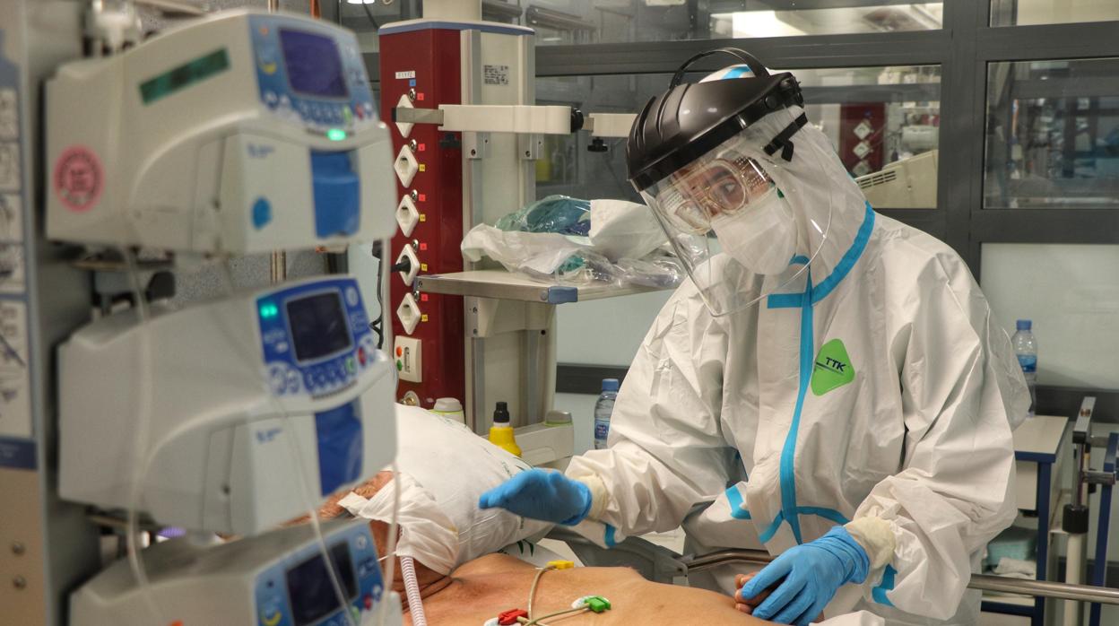 Un sanitario atiende a un paciente Covid en la UCI del Hospital Reina Sofía de Córdoba