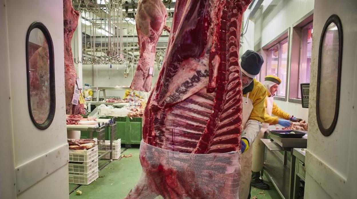 Un operario en una fábrica de carne