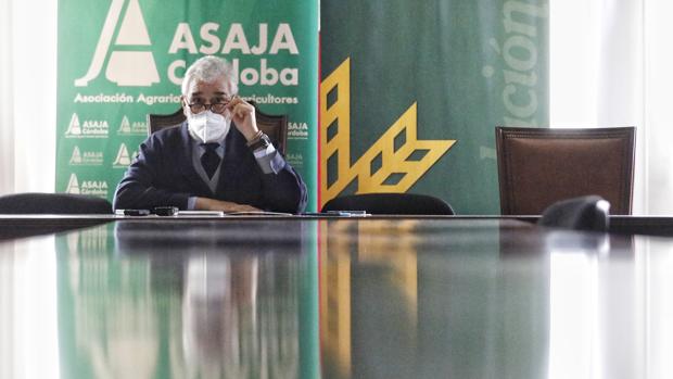 El campo de Córdoba sortea el año de la pandemia salvo el vino, el vacuno y los ibéricos