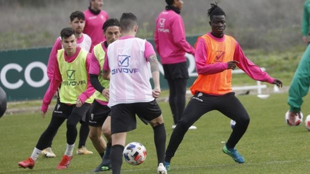 Pablo Alfaro recupera a Djetei y Carlos Valverde en el Córdoba CF para medirse al UCAM el domingo