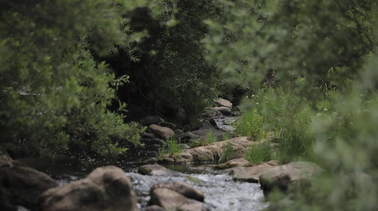 Baños de Popea, uno de los espacios naturales más visitados de Córdoba