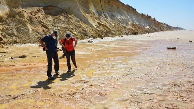 La playa de Matalascañas de Doñana, el lugar donde habitaron, cazaron y procrearon neandertales