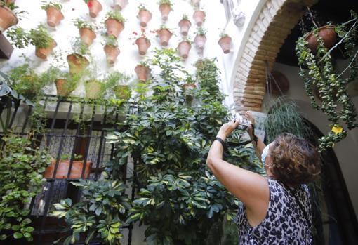 Visita a los Patios de Córdoba en la cita otoñal de 2020