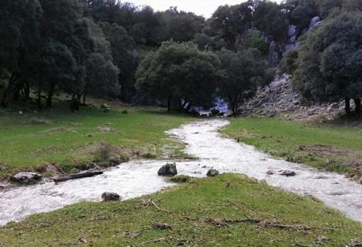 Un arroyo en la Subbética