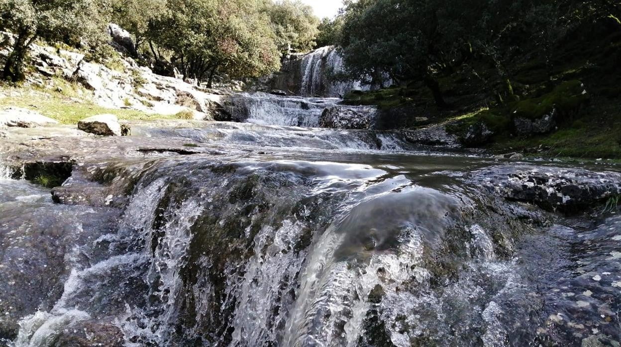 Una chorrera en la Subbética esta semana tras las lluvias