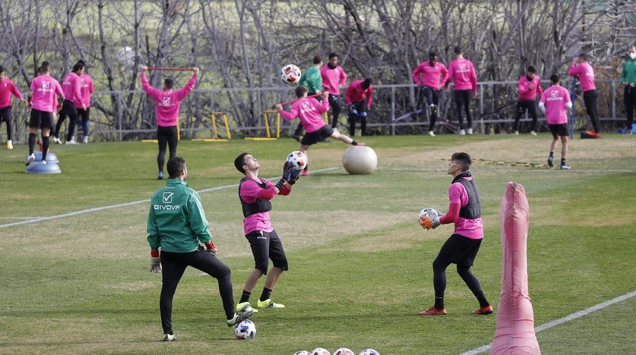 La plantilla del Córdoba se ejercita en la Ciudad Deportiva