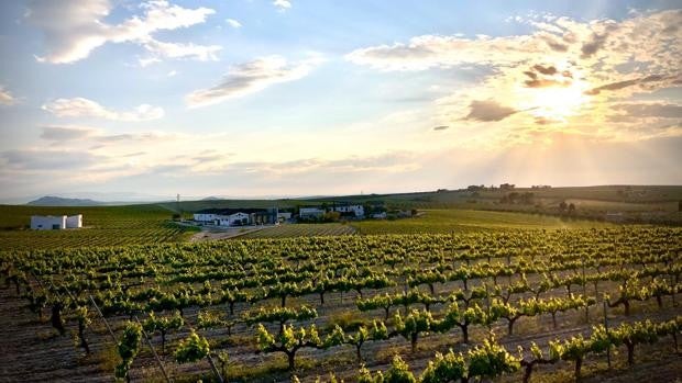 La Ruta del Vino Montilla-Moriles se incorpora a la red de destinos turísticos inteligentes