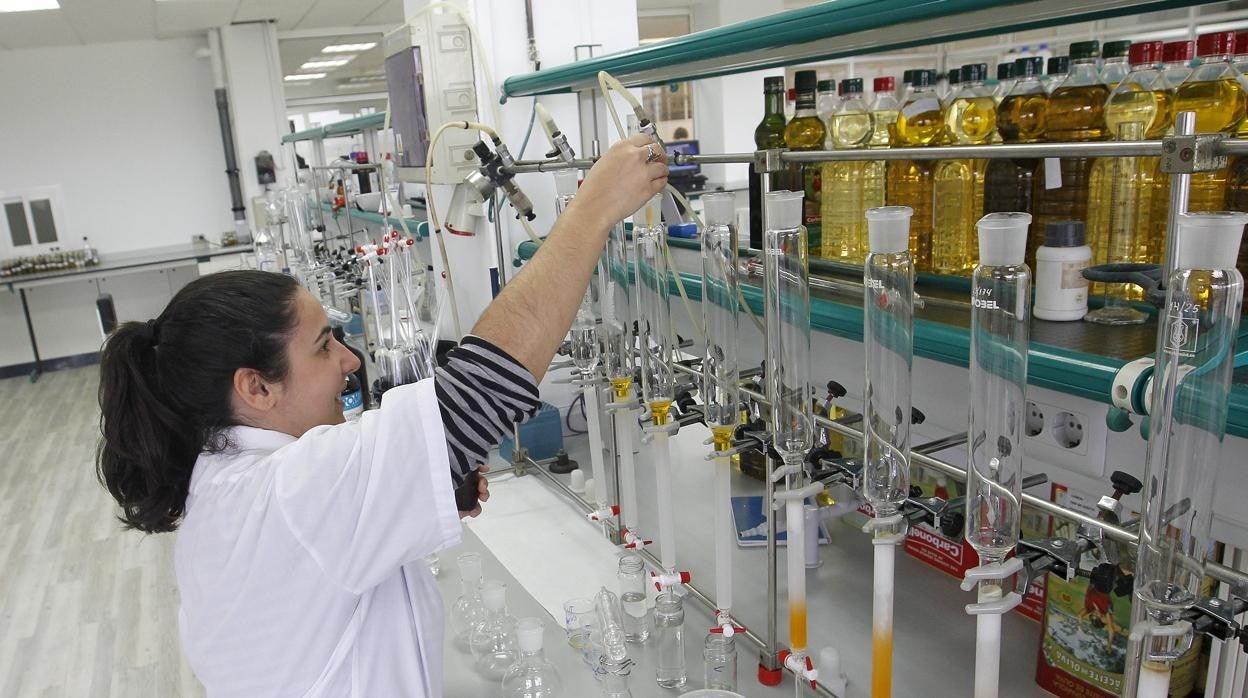 Laboratorio de aceite de la compañía Deoleo en Córdoba