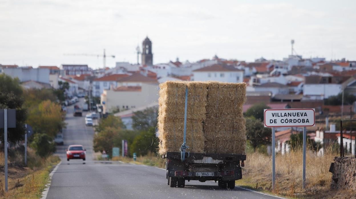 Una de las carreteras de acceso a la localidad de Villanueva de Córdoba