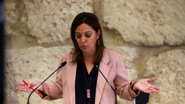 El PSOE de Córdoba apela a la presunción de inocencia ante la investigación sobre la exalcaldesa Ambrosio