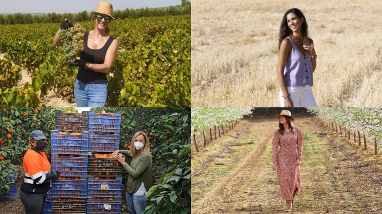 De izquierda a derecha y de arriba abajo, Carmen Pilar Guisado, Lorena Guerra, María Ángeles Herrero y Pepa Vida