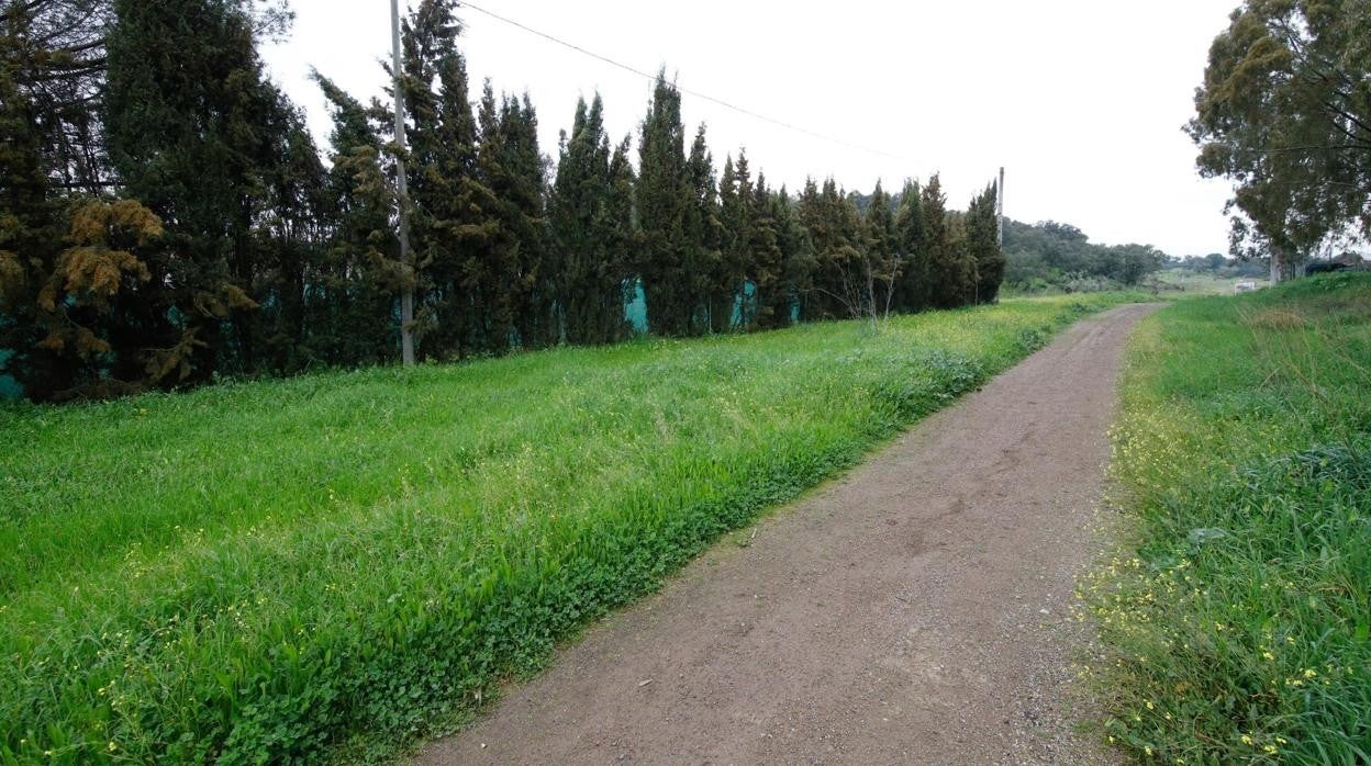 La Cañada Real Soriana a su paso por el término municipal de Obejo