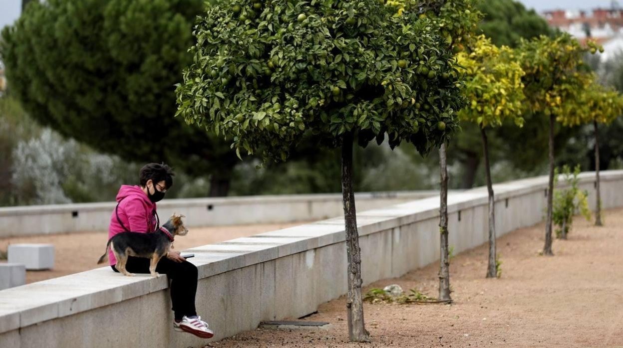 Una joven en Miraflores con su mascota disfrutando del buen tiempo