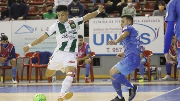 El Córdoba Patrimonio retoma la competición ante el Palma Futsal