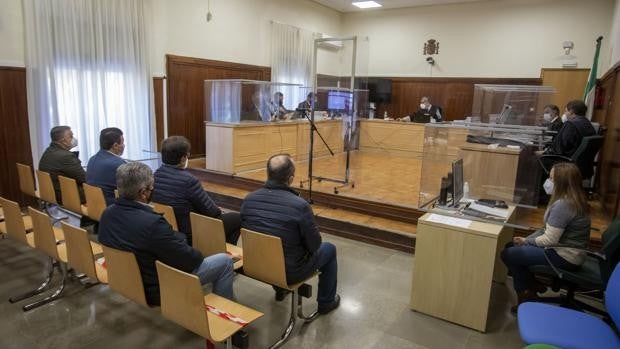 Juicio por el «robo del agua» en Doñana: ex alcaldes de Almonte dicen al juez que solo fueron «intermediarios»