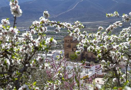 Laujar de Andarax, apital de la Alpujarra almeriense.