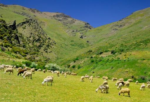 Ruta por cinco maravillosos pueblos de Granada a los que escaparse un fin de semana