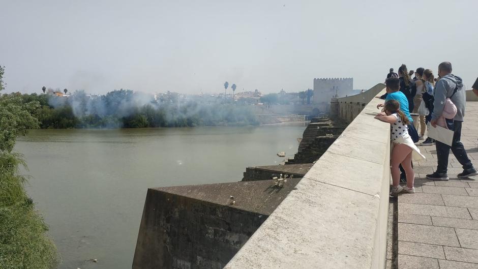 Los bomberos de Córdoba sofocan un espectacular incendio en la Ribera