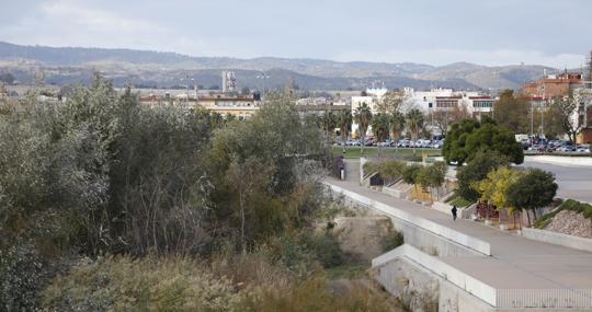 Árboles y vegetación junto al Balcón del Guadalquivir