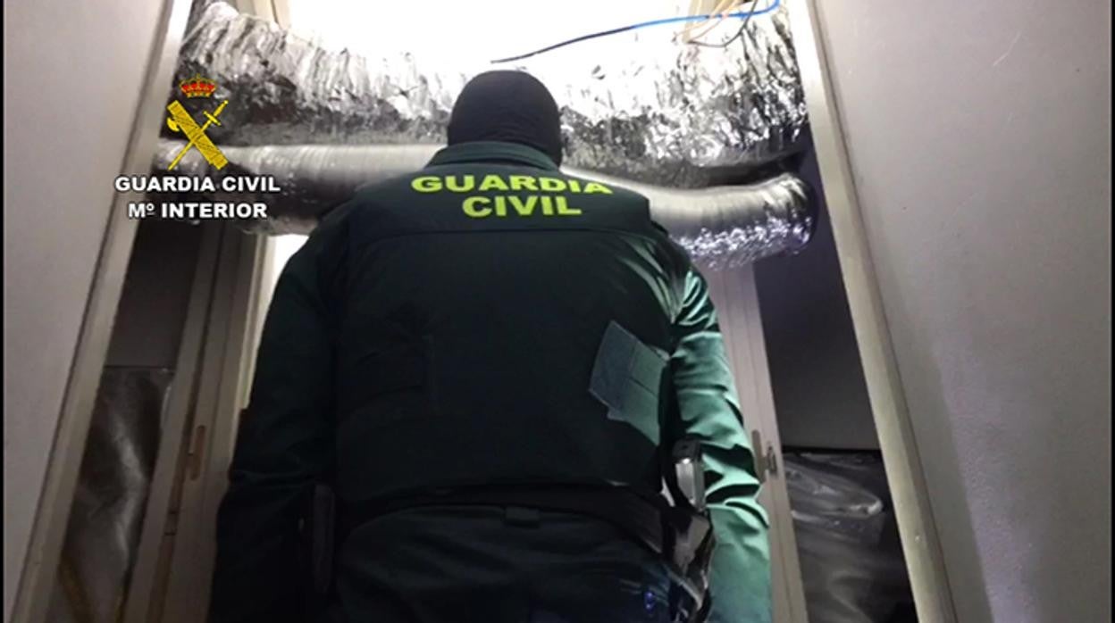 Un agente de la Guardia Civil durante la operación en Puente Genil