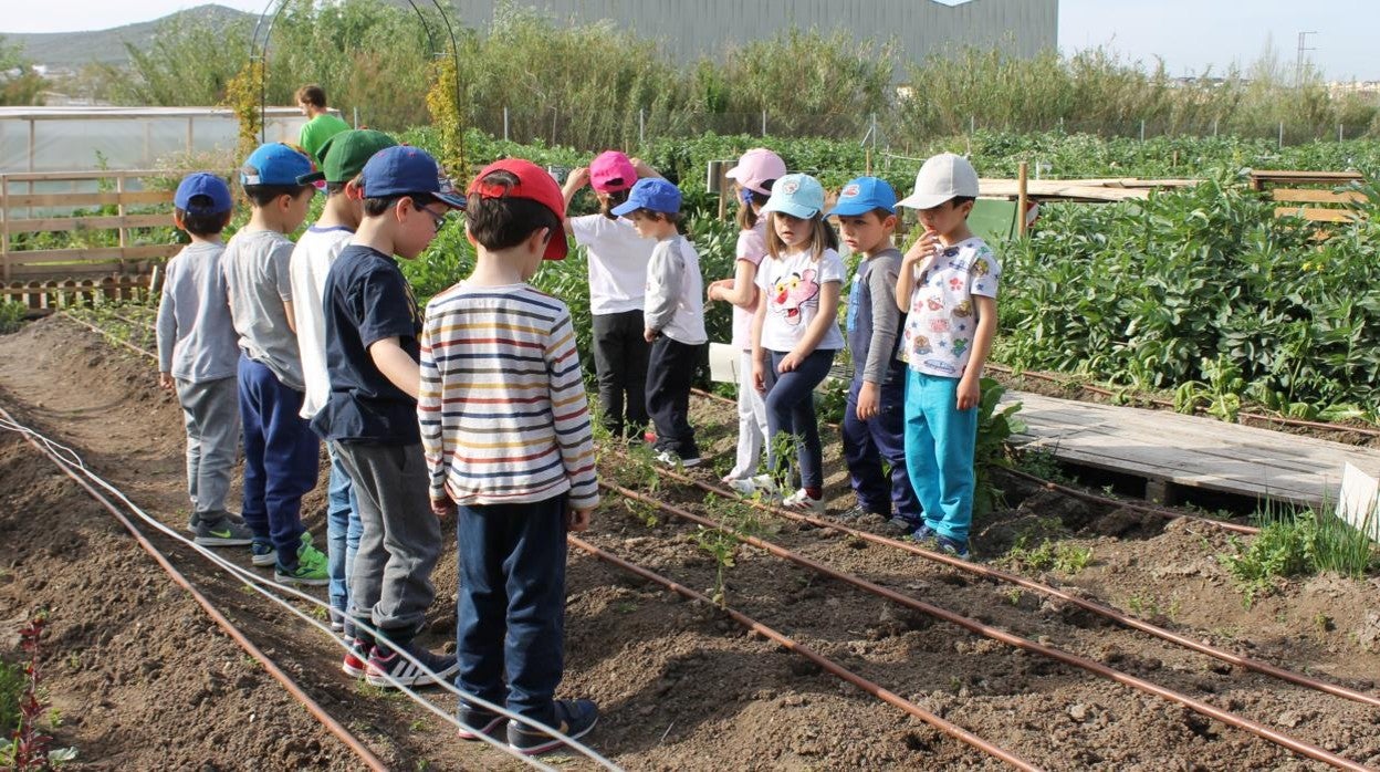 Visita de niños a los huertos urbanos situados frente a la estación