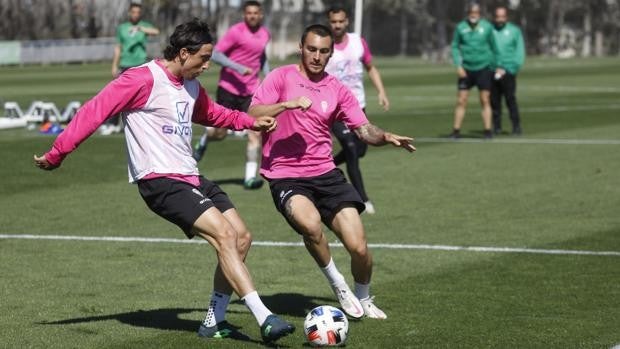 Córdoba CF | Manu Farrando: «Lo más fácil y cobarde sería tirar la toalla, y nosotros no lo vamos a hacer»