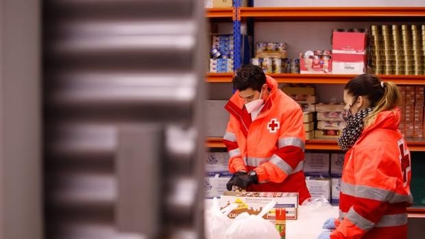 Cruz Roja retoma el reparto de alimentos a 500 familias de Córdoba junto al Ayuntamiento