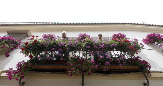 Reja con flores en la calle Cidros