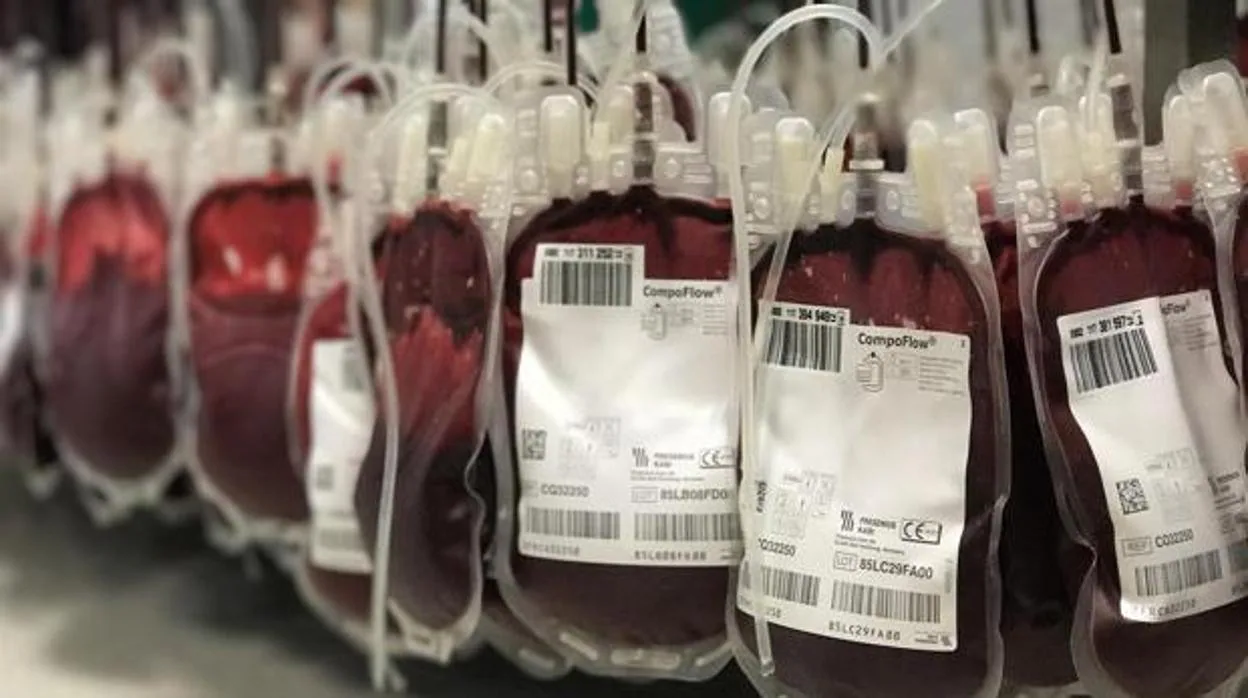 Bolsas de sangre donadas