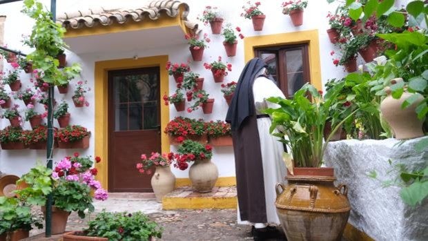 Concurso | Las flores divinas de Santa Marta para el centenario de los Patios