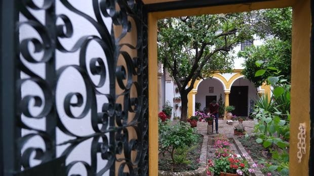 ¿Quieres elegir al mejor patio de Córdoba 2021? Vota en el Concurso de ABC Córdoba