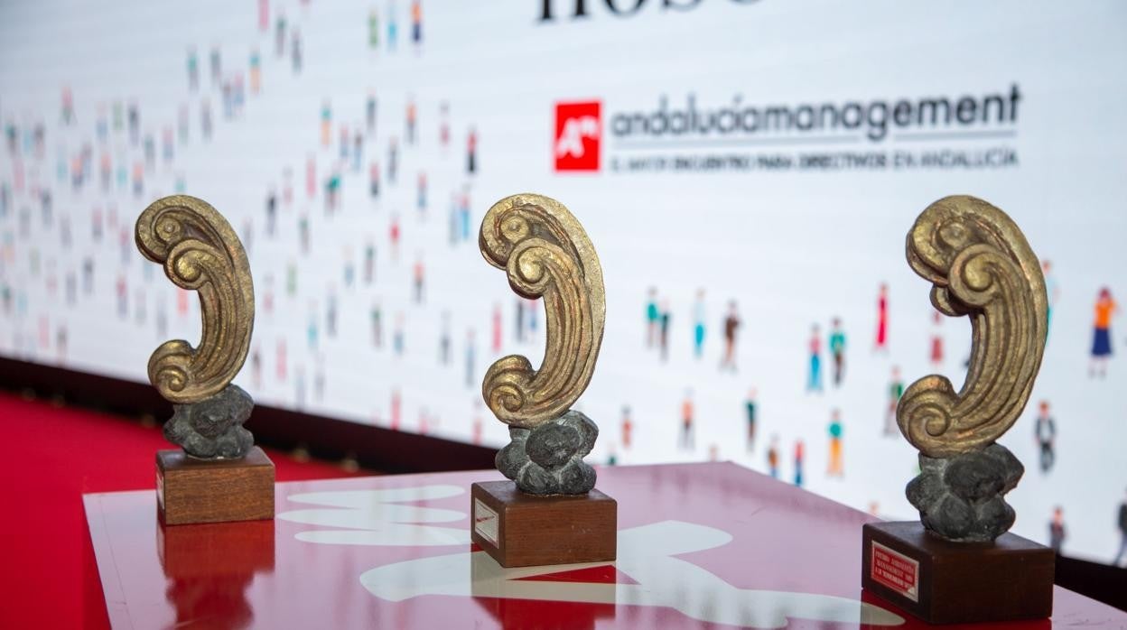 La firma de Córdoba Silbon recibe el premio Andalucía Management por su labor social