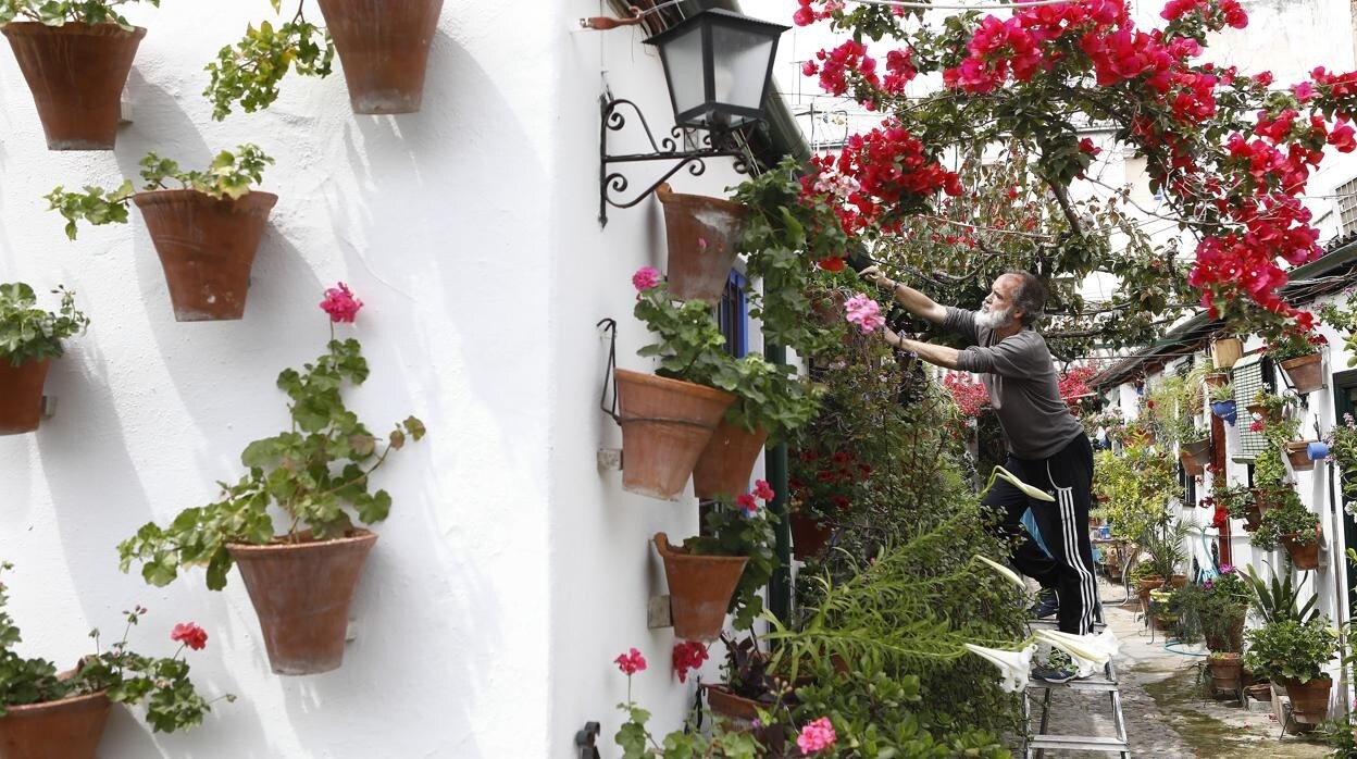 Un vecino retoca las macetas del patio de la calle Marroquíes, en Santa Marina