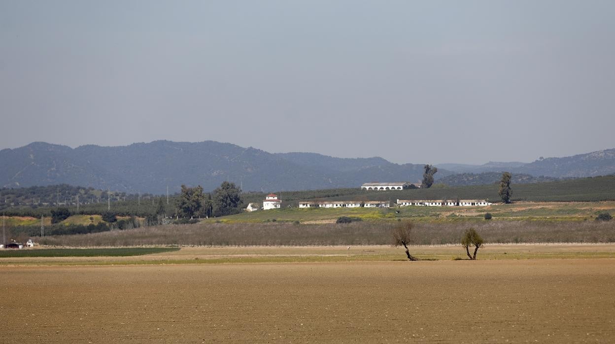 Terrenos de La Rinconada