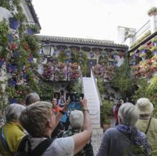 Los mejores planes culturales y de ocio para disfrutar este fin de semana en Cordoba