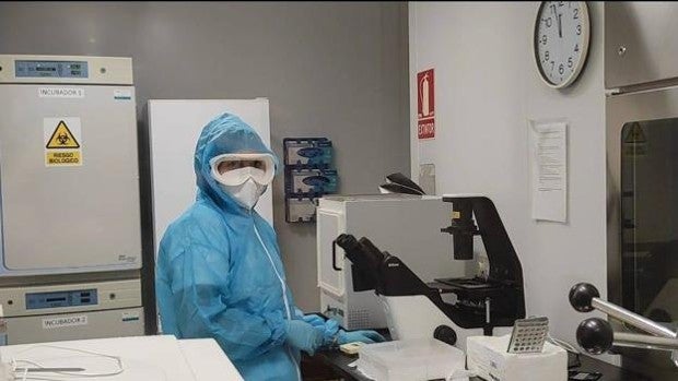 Investigadores del CSIC en Granada detienen su trabajo sobre el Covid-19 hasta que Salud les vacune