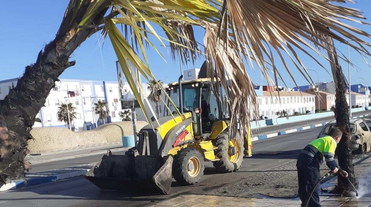 Operarios municipales, junto a algunas de las palmeras y vehículos que han sido quemados estos días